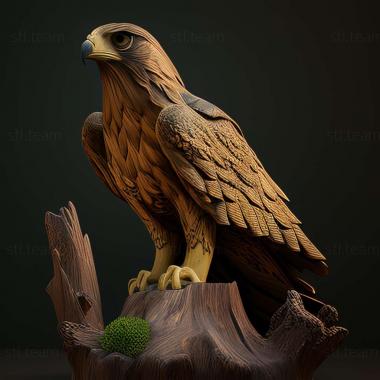 3D model Buteo refectus (STL)